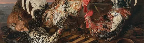 image of Fowl Attacked by a Fox